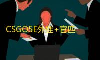CSGO5E外挂+官匹【小龙人/单透】辅助